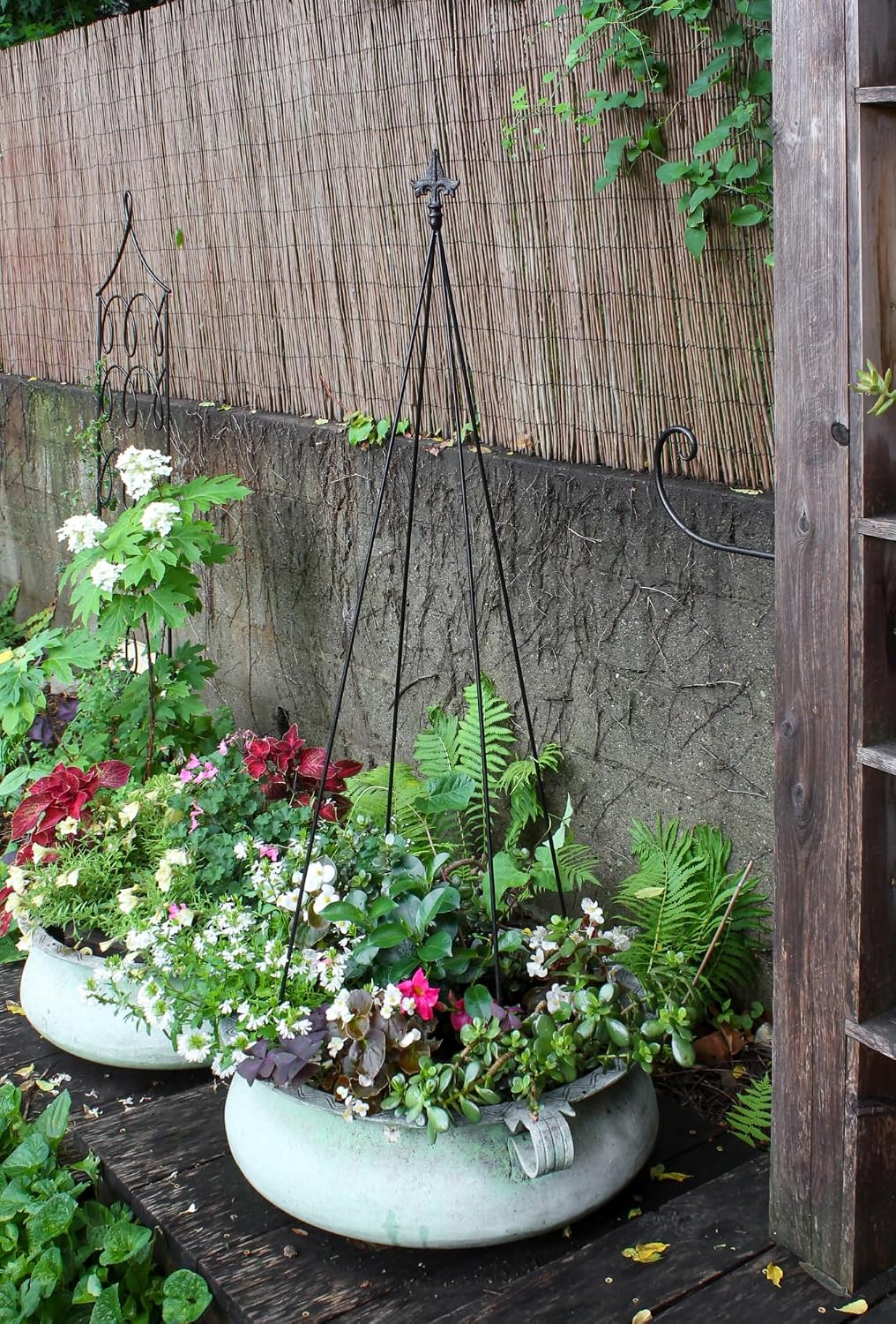Achla Designs FT-21 Fleur-de-lis, 78-Inch Wrought Iron Garden Stake Trellis, Black