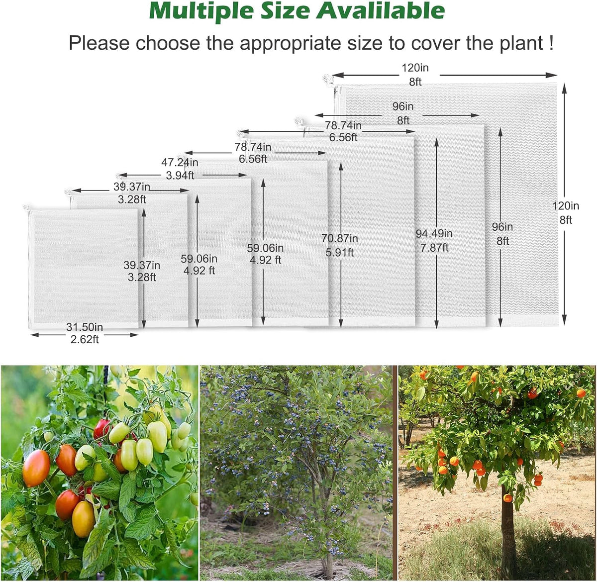 3Pcs Plant Covers from Insects, Bird Netting Barrier for Blueberry Bushes with Drawstring Zipper Mesh Garden Netting Fruit Tree Bags Plants Net Cage for Protect Tomato Vegetable Citrus, 3.3×5Ft