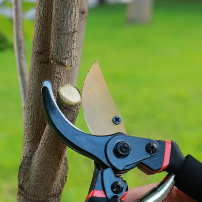 Garden Shears, Sharp Pruners for Gardening with Locking Mechanism, Ideal for Trimming, Harvesting