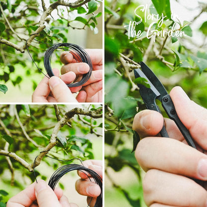 24 Piece Bonsai Tree Kit, Bonsai Trimming Tool Set, Bonsai Starter Kit, Carbon Steel Scissors Cutter Shears, Stainless Steel Rake Shovel, Gardening Pruning Tools, Gloves