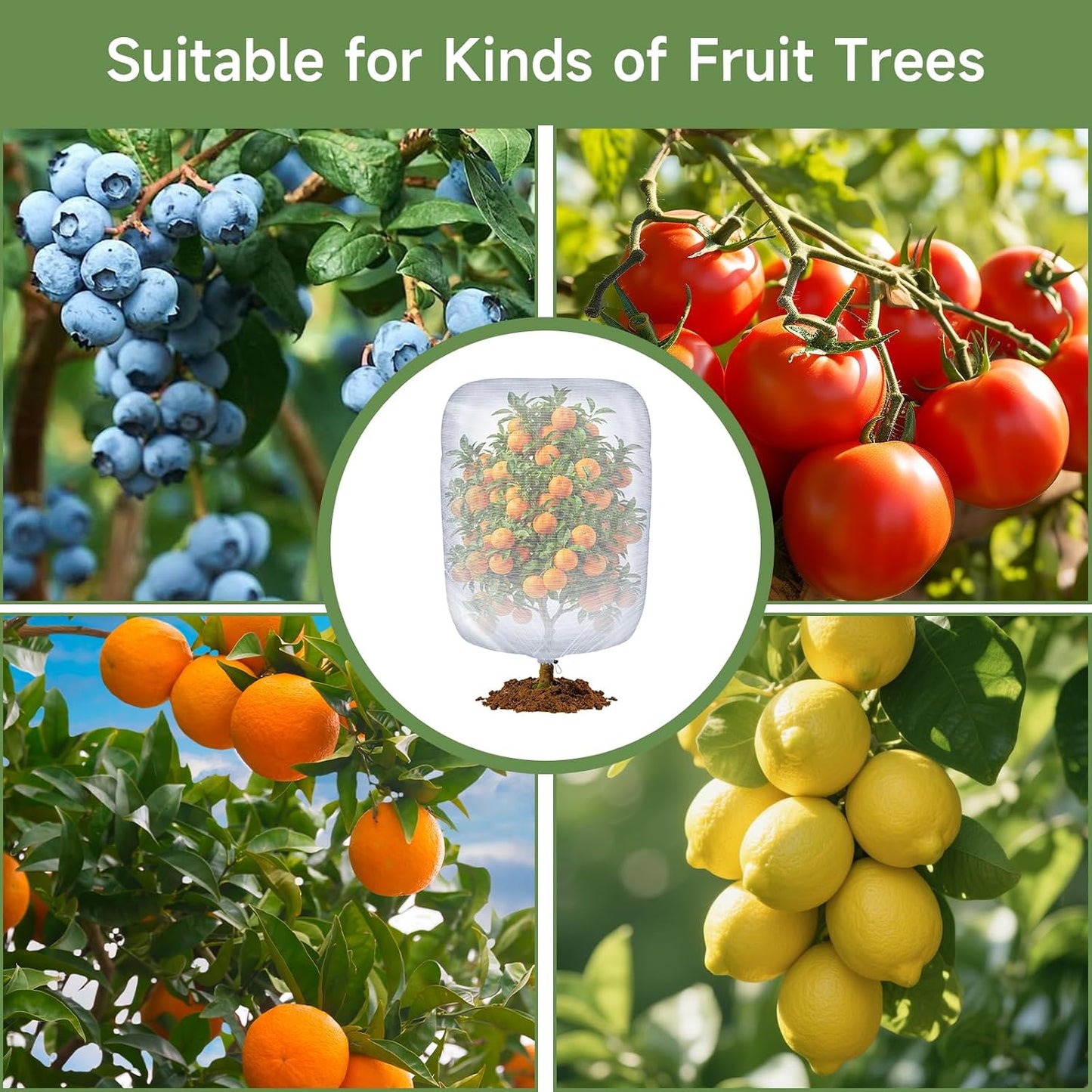 Bird Netting for Blueberry Bushes Protection, 4.9Ft x 3.2Ft, 3Pcs
