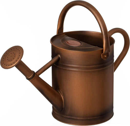 1 Gallon Metal Watering Can with Removable Long Spout & Sprinkler Head for Indoor & Outdoor Use Ideal for Garden Flowers Potted Plants Houseplants Modern Decorative Home Accessories, Bronze