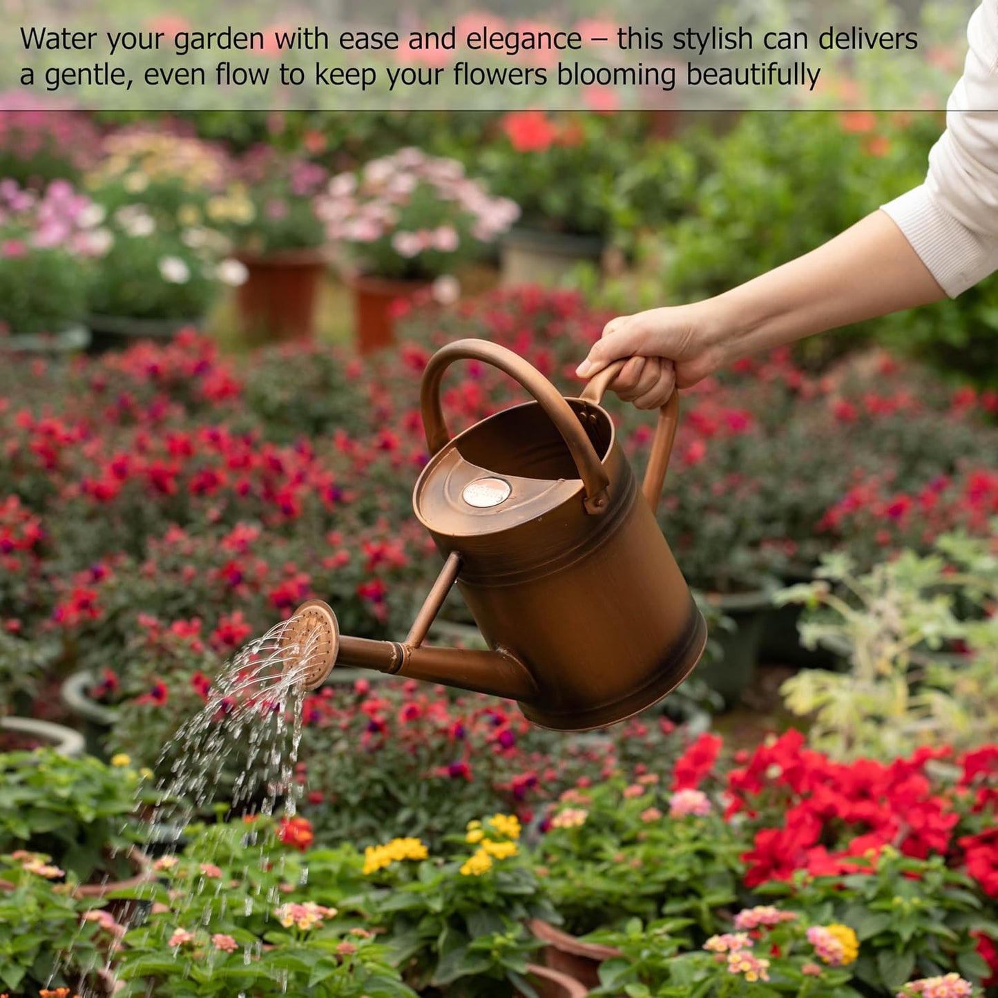 1 Gallon Metal Watering Can with Removable Long Spout & Sprinkler Head for Indoor & Outdoor Use Ideal for Garden Flowers Potted Plants Houseplants Modern Decorative Home Accessories, Bronze