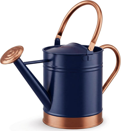 1 Gallon Metal Watering Can with Removable Long Spout & Sprinkler Head for Indoor & Outdoor Use Ideal for Garden Flowers Potted Plants Houseplants Modern Decorative Home Accessories, Bronze