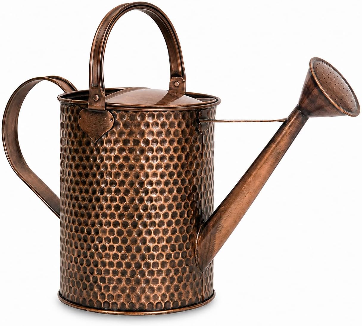 1 Gallon Metal Watering Can with Removable Long Spout & Sprinkler Head for Indoor & Outdoor Use Ideal for Garden Flowers Potted Plants Houseplants Modern Decorative Home Accessories, Bronze