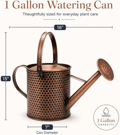1 Gallon Metal Watering Can with Removable Long Spout & Sprinkler Head for Indoor & Outdoor Use Ideal for Garden Flowers Potted Plants Houseplants Modern Decorative Home Accessories, Bronze