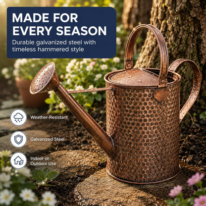 1 Gallon Metal Watering Can with Removable Long Spout & Sprinkler Head for Indoor & Outdoor Use Ideal for Garden Flowers Potted Plants Houseplants Modern Decorative Home Accessories, Bronze