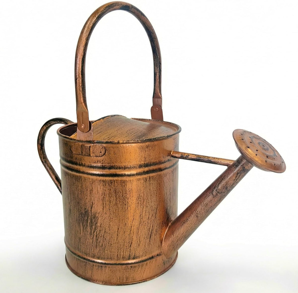 1 Gallon Metal Watering Can with Removable Long Spout & Sprinkler Head for Indoor & Outdoor Use Ideal for Garden Flowers Potted Plants Houseplants Modern Decorative Home Accessories, Bronze