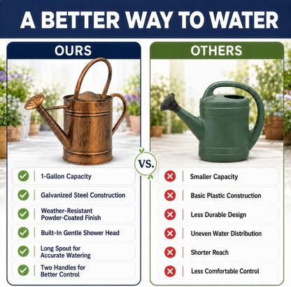 1 Gallon Metal Watering Can with Removable Long Spout & Sprinkler Head for Indoor & Outdoor Use Ideal for Garden Flowers Potted Plants Houseplants Modern Decorative Home Accessories, Bronze