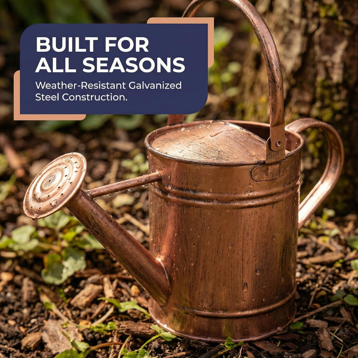 1 Gallon Metal Watering Can with Removable Long Spout & Sprinkler Head for Indoor & Outdoor Use Ideal for Garden Flowers Potted Plants Houseplants Modern Decorative Home Accessories, Bronze