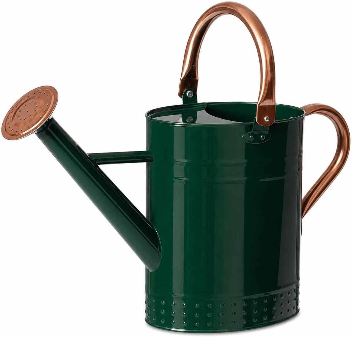1 Gallon Metal Watering Can with Removable Long Spout & Sprinkler Head for Indoor & Outdoor Use Ideal for Garden Flowers Potted Plants Houseplants Modern Decorative Home Accessories, Bronze