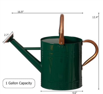 1 Gallon Metal Watering Can with Removable Long Spout & Sprinkler Head for Indoor & Outdoor Use Ideal for Garden Flowers Potted Plants Houseplants Modern Decorative Home Accessories, Bronze