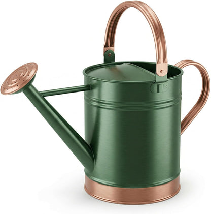 1 Gallon Metal Watering Can with Removable Long Spout & Sprinkler Head for Indoor & Outdoor Use Ideal for Garden Flowers Potted Plants Houseplants Modern Decorative Home Accessories, Bronze