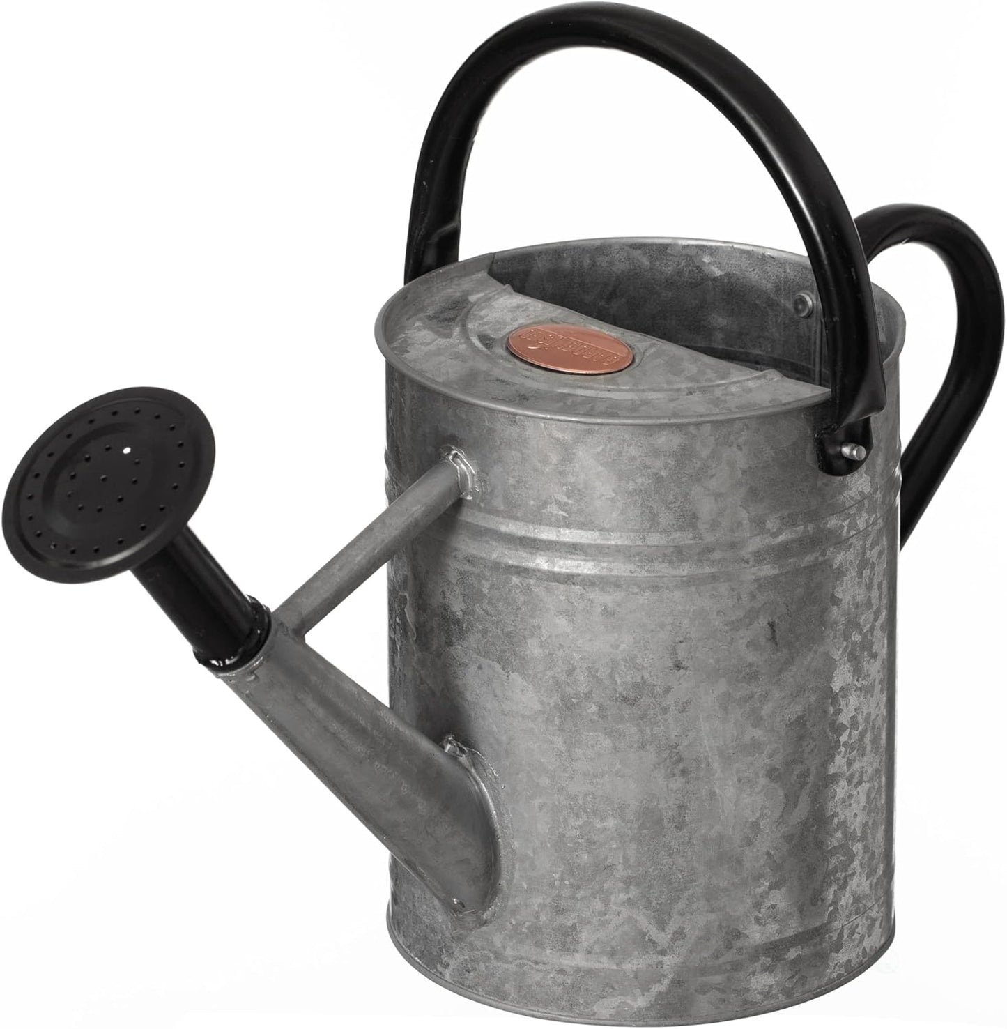 1 Gallon Metal Watering Can with Removable Long Spout & Sprinkler Head for Indoor & Outdoor Use Ideal for Garden Flowers Potted Plants Houseplants Modern Decorative Home Accessories, Bronze