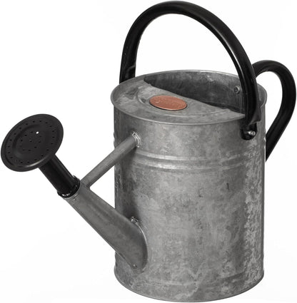 1 Gallon Metal Watering Can with Removable Long Spout & Sprinkler Head for Indoor & Outdoor Use Ideal for Garden Flowers Potted Plants Houseplants Modern Decorative Home Accessories, Bronze