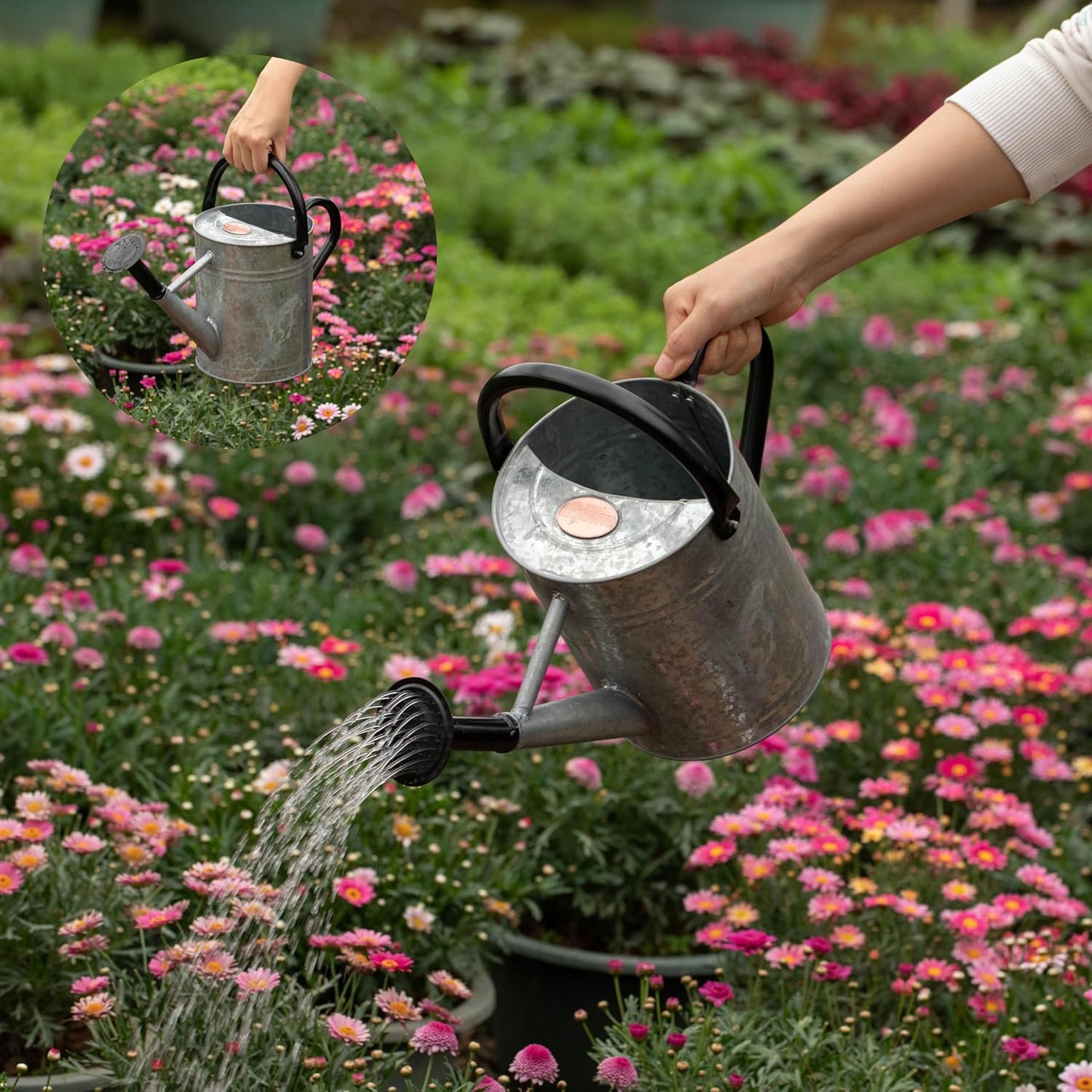 1 Gallon Metal Watering Can with Removable Long Spout & Sprinkler Head for Indoor & Outdoor Use Ideal for Garden Flowers Potted Plants Houseplants Modern Decorative Home Accessories, Bronze