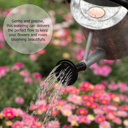 1 Gallon Metal Watering Can with Removable Long Spout & Sprinkler Head for Indoor & Outdoor Use Ideal for Garden Flowers Potted Plants Houseplants Modern Decorative Home Accessories, Bronze