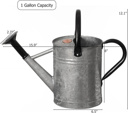1 Gallon Metal Watering Can with Removable Long Spout & Sprinkler Head for Indoor & Outdoor Use Ideal for Garden Flowers Potted Plants Houseplants Modern Decorative Home Accessories, Bronze