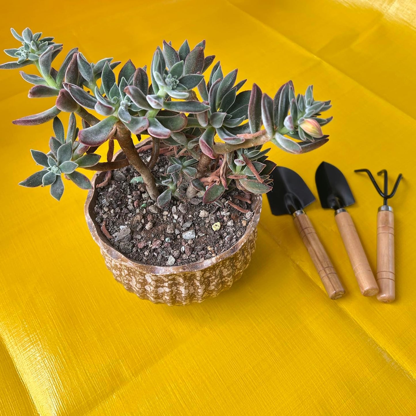 Kids Gardening Tools Set, 3-Piece Shovel Trowel Rake Kit