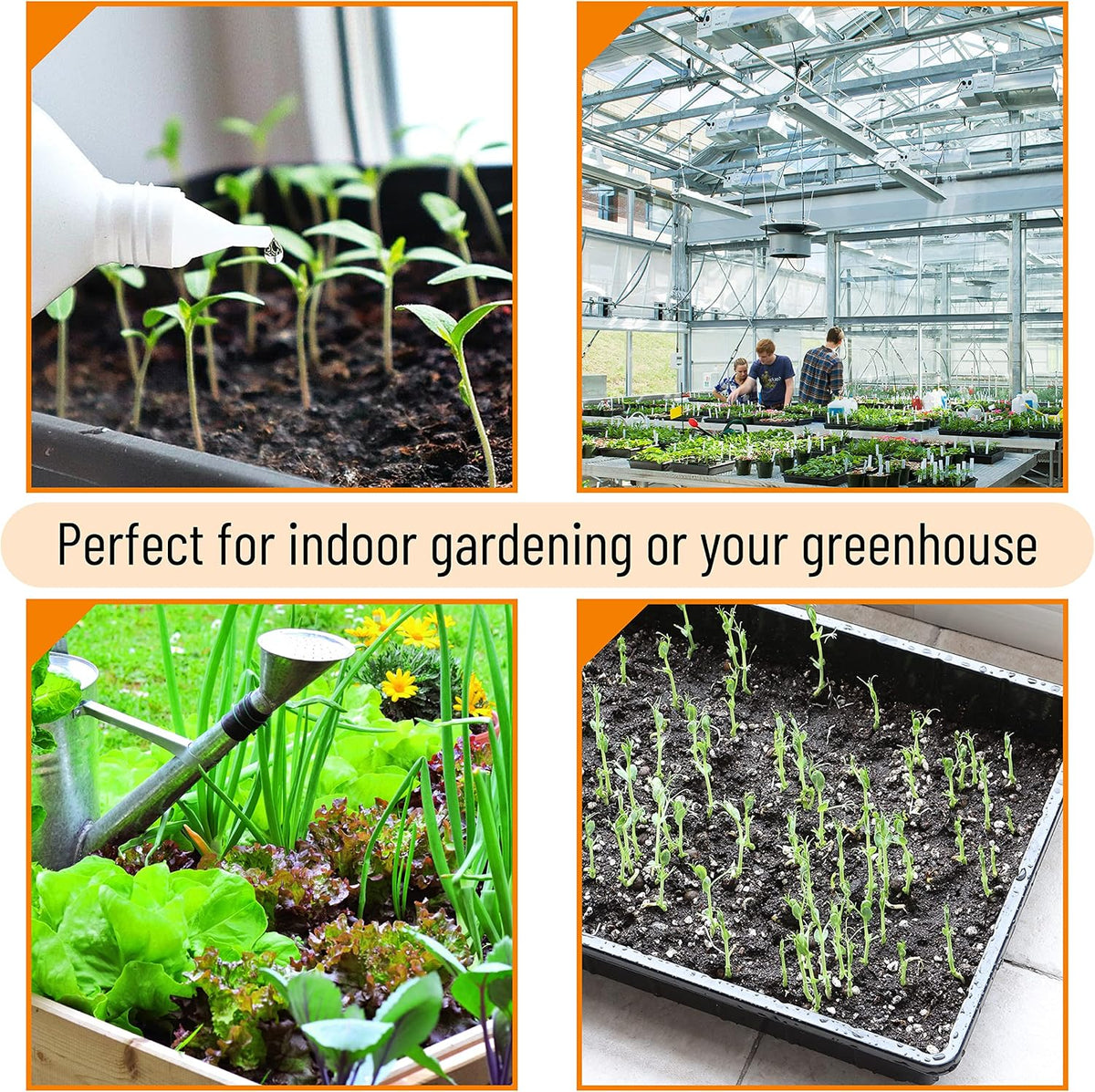 Seed Starter Trays, 5 Pack, 17"x10"x2.4"