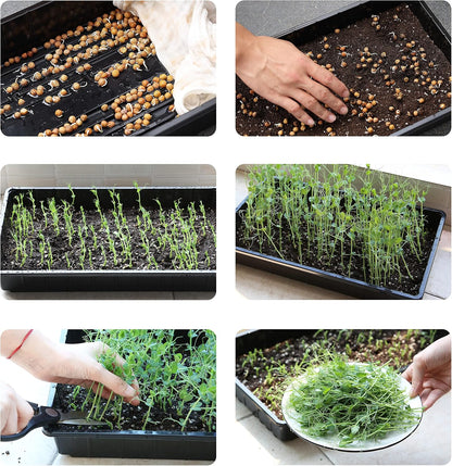 Seed Starter Trays, 5 Pack, 17"x10"x2.4"