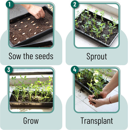Seed Starter Trays, 5 Pack, 17"x10"x2.4"