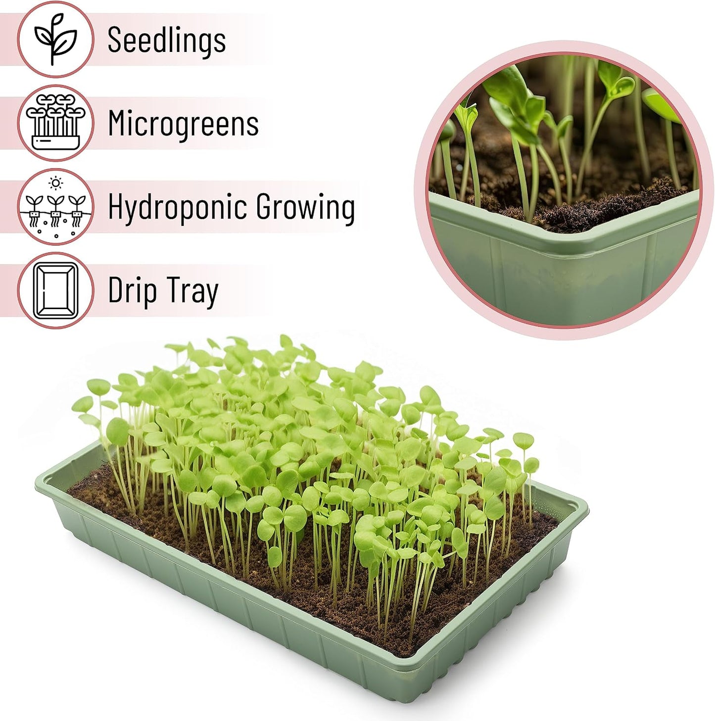 Seed Starter Trays, 5 Pack, 17"x10"x2.4"