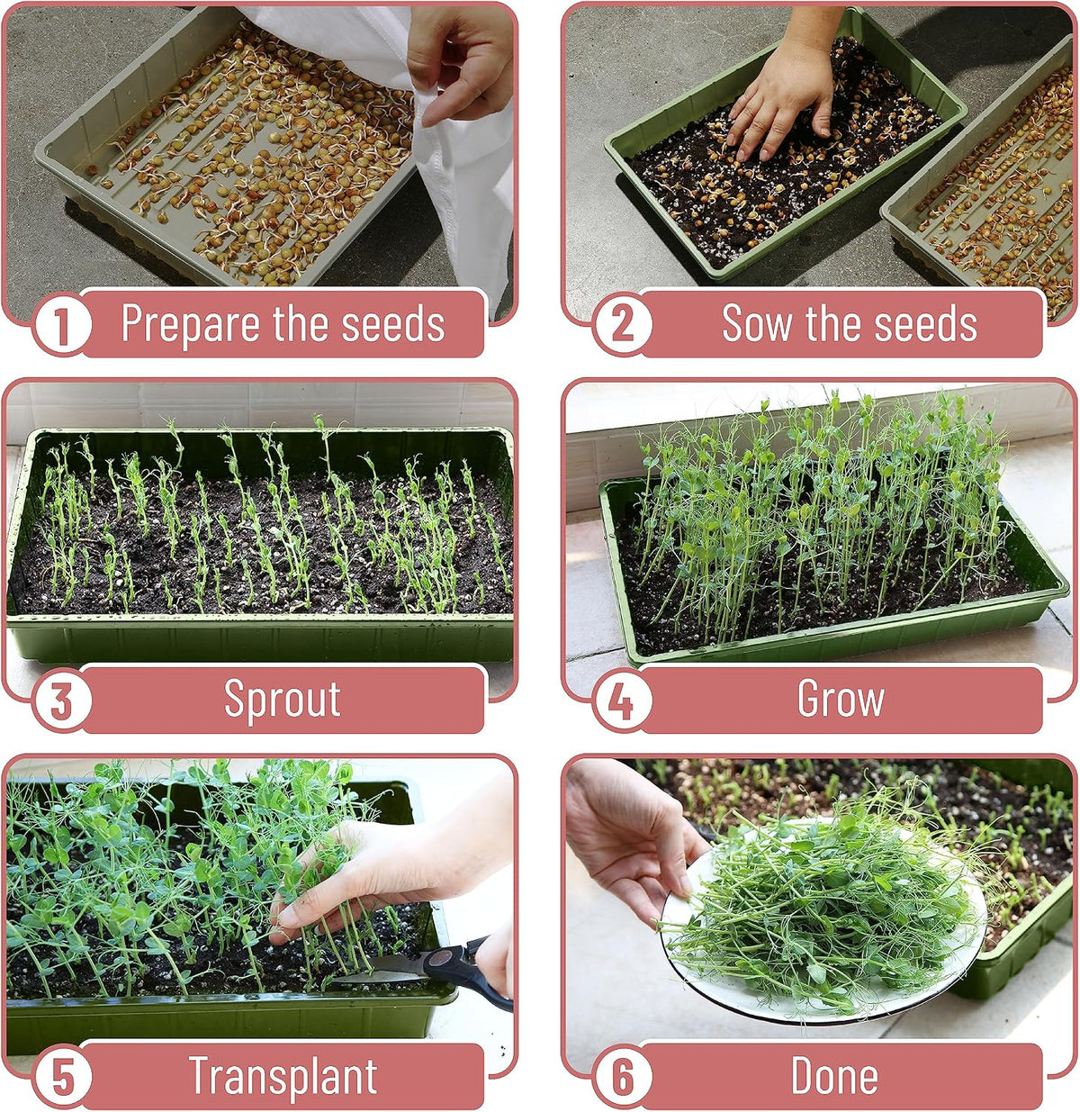 Seed Starter Trays, 5 Pack, 17"x10"x2.4"