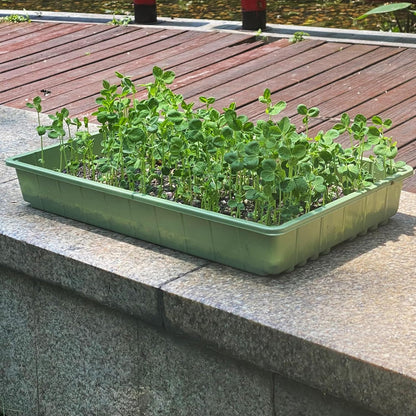 Seed Starter Trays, 5 Pack, 17"x10"x2.4"