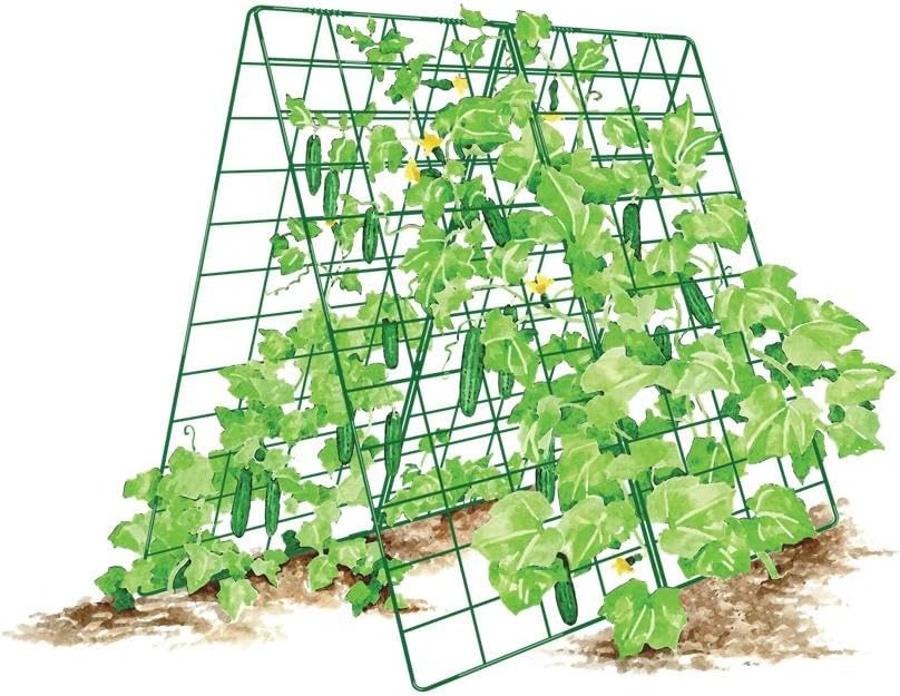 Deluxe Cucumber Trellis (Green) | Powder Coated Steel Vegetable Support - 32” W x 46” H