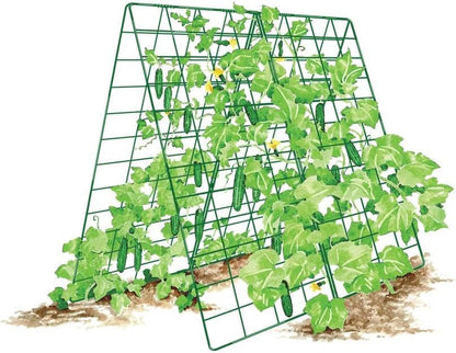 Deluxe Cucumber Trellis (Green) | Powder Coated Steel Vegetable Support - 32” W x 46” H