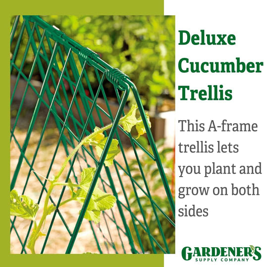 Deluxe Cucumber Trellis (Green) | Powder Coated Steel Vegetable Support - 32” W x 46” H