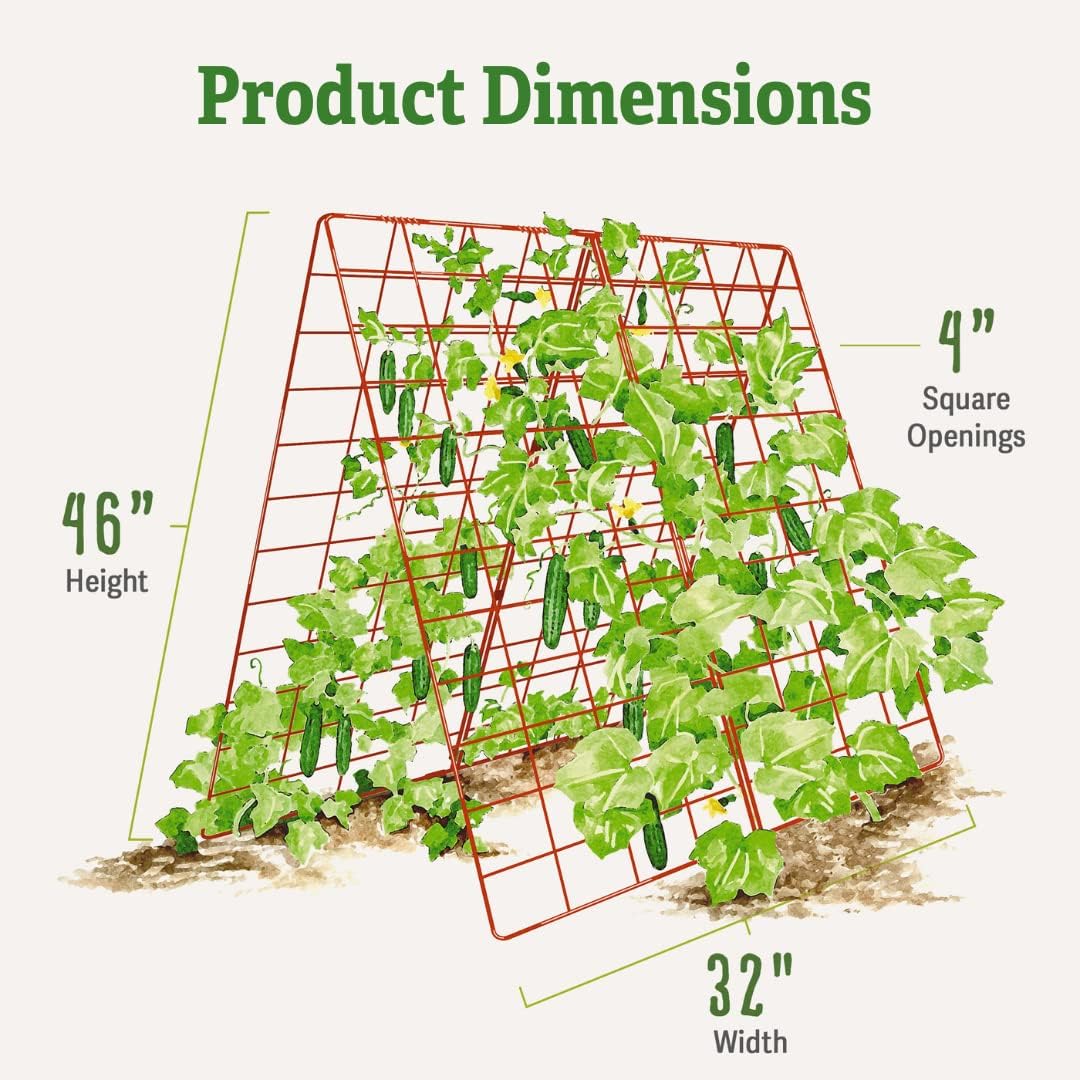 Deluxe Cucumber Trellis (Green) | Powder Coated Steel Vegetable Support - 32” W x 46” H