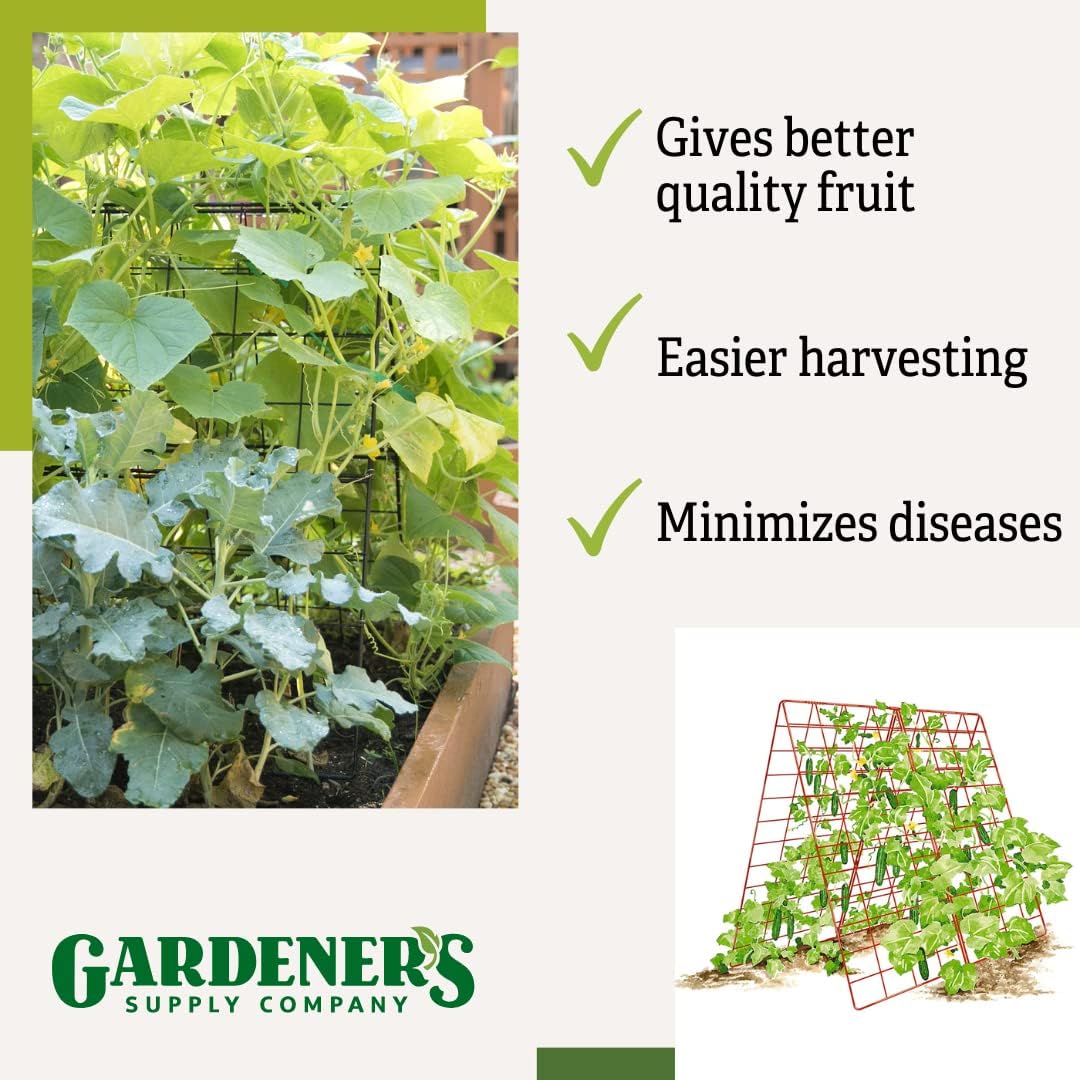 Deluxe Cucumber Trellis (Green) | Powder Coated Steel Vegetable Support - 32” W x 46” H
