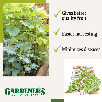 Deluxe Cucumber Trellis (Green) | Powder Coated Steel Vegetable Support - 32” W x 46” H