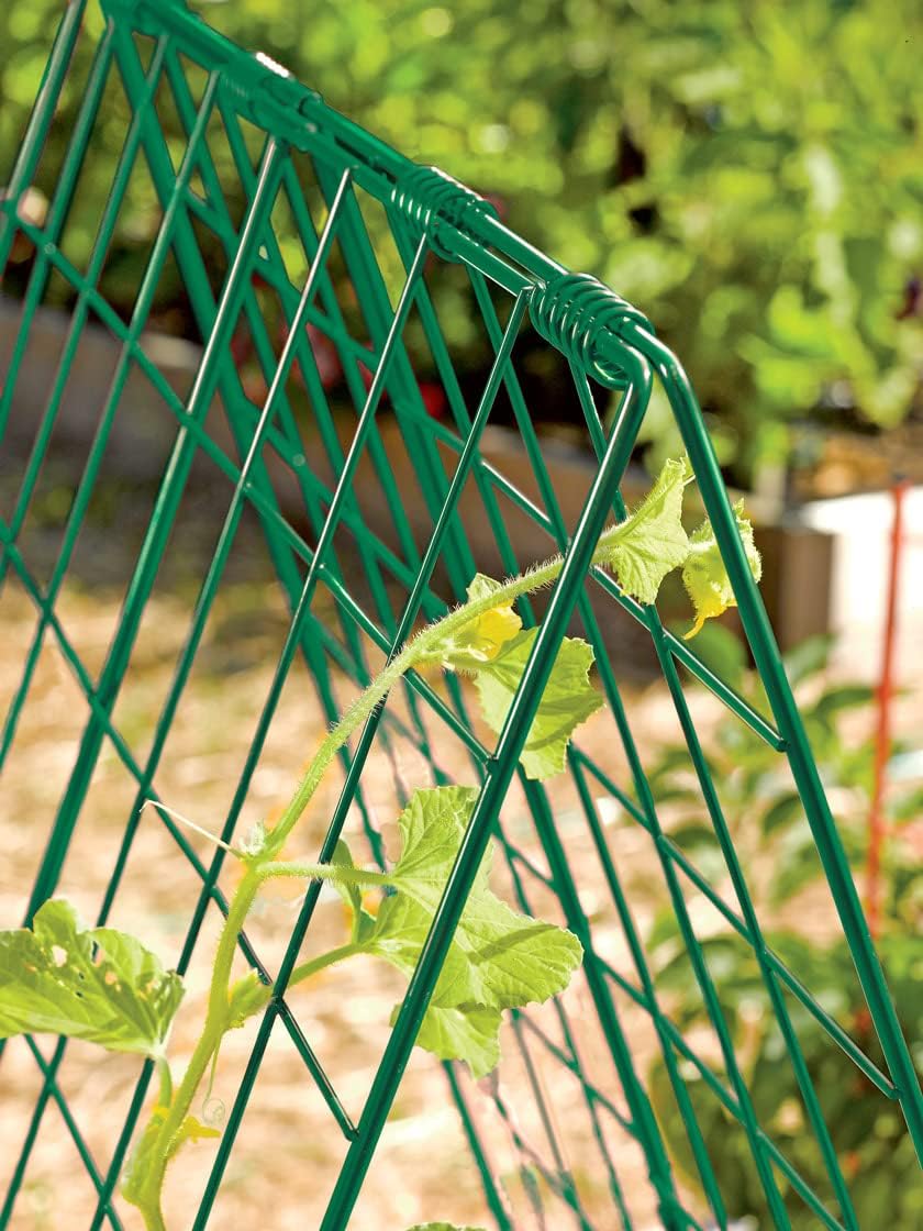 Deluxe Cucumber Trellis (Green) | Powder Coated Steel Vegetable Support - 32” W x 46” H