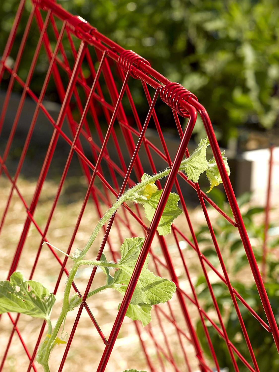 Deluxe Cucumber Trellis (Green) | Powder Coated Steel Vegetable Support - 32” W x 46” H