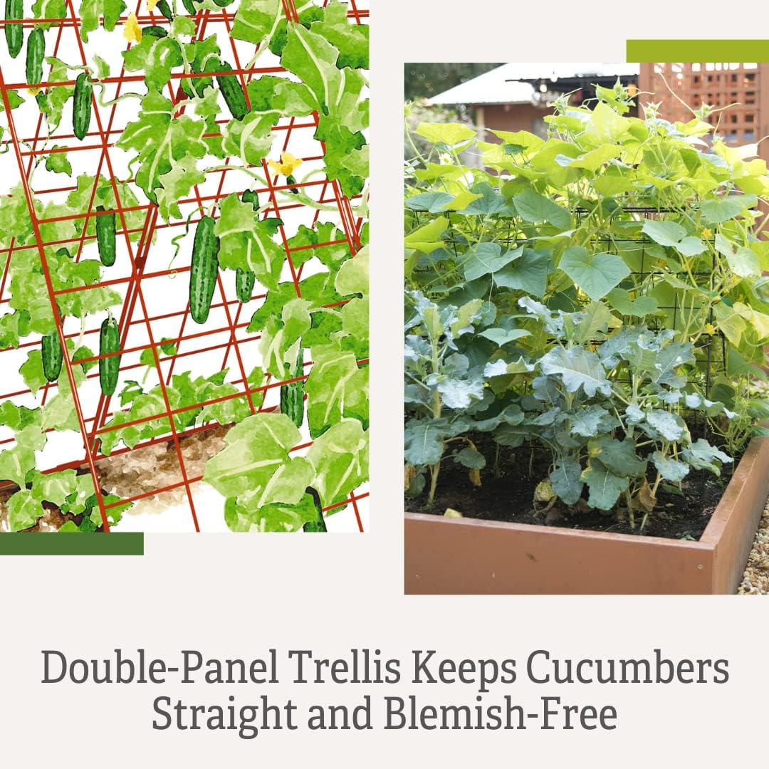 Deluxe Cucumber Trellis (Green) | Powder Coated Steel Vegetable Support - 32” W x 46” H