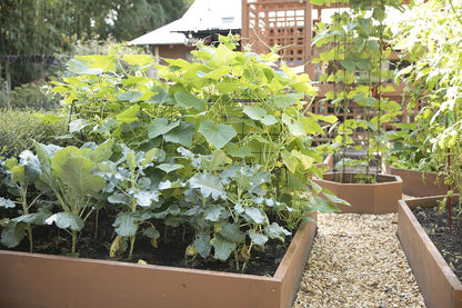 Deluxe Cucumber Trellis (Green) | Powder Coated Steel Vegetable Support - 32” W x 46” H