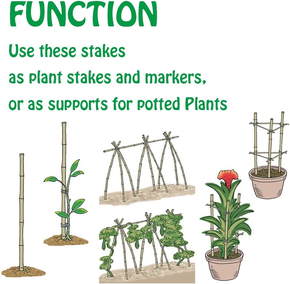 Natural Bamboo Stakes 4 Feet, Eco-Friendly Garden Stakes, Plant Stakes Supports Climbing for Tomatoes, Trees, Beans, 25 Pack
