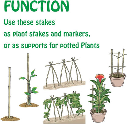 Natural Bamboo Stakes 4 Feet, Eco-Friendly Garden Stakes, Plant Stakes Supports Climbing for Tomatoes, Trees, Beans, 25 Pack