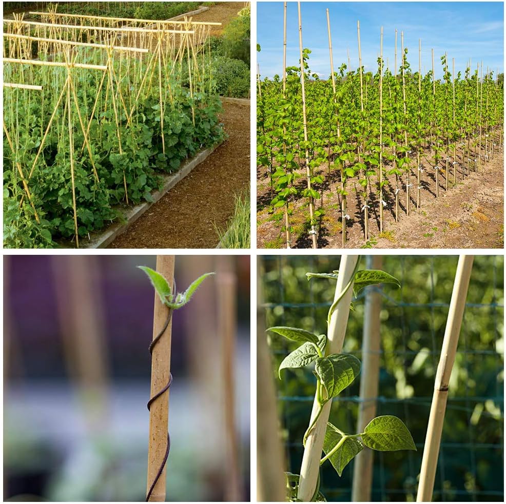 Natural Bamboo Stakes 4 Feet, Eco-Friendly Garden Stakes, Plant Stakes Supports Climbing for Tomatoes, Trees, Beans, 25 Pack