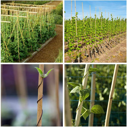 Natural Bamboo Stakes 4 Feet, Eco-Friendly Garden Stakes, Plant Stakes Supports Climbing for Tomatoes, Trees, Beans, 25 Pack