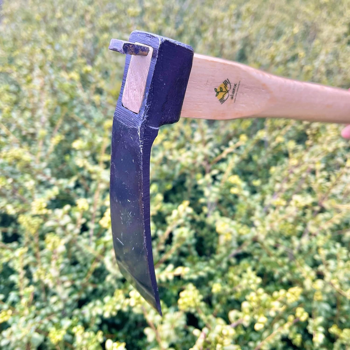 14 Inch Heavy Duty Wide Hoe, Japanese Carbon Steel with Oak Wooden Handle, Without Welding, Garden Tool for Digging, Weeding, and Planting