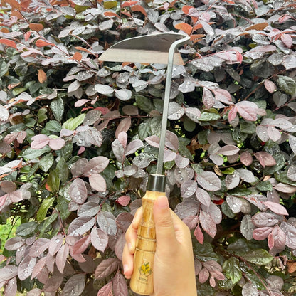 14 Inch Heavy Duty Wide Hoe, Japanese Carbon Steel with Oak Wooden Handle, Without Welding, Garden Tool for Digging, Weeding, and Planting