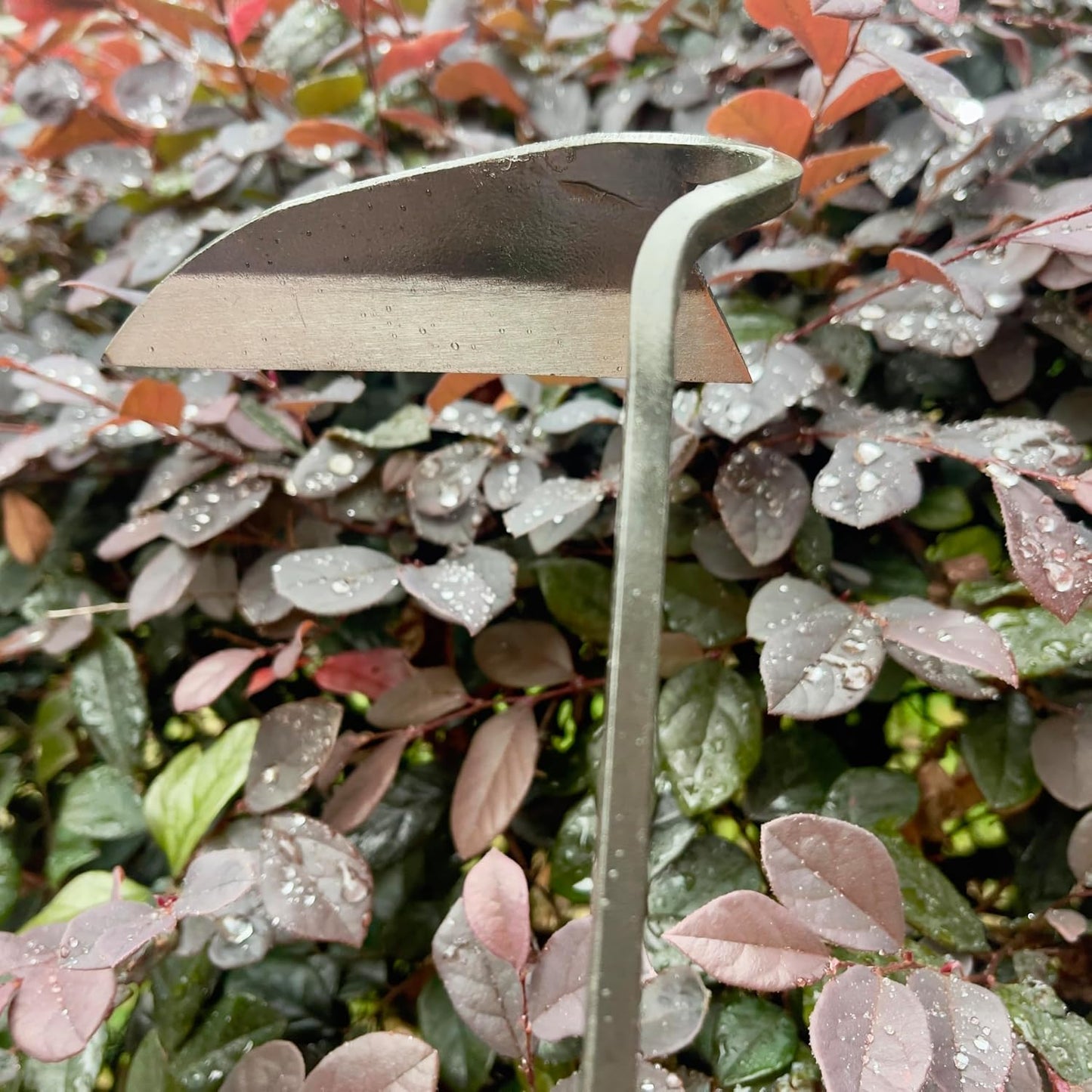 14 Inch Heavy Duty Wide Hoe, Japanese Carbon Steel with Oak Wooden Handle, Without Welding, Garden Tool for Digging, Weeding, and Planting