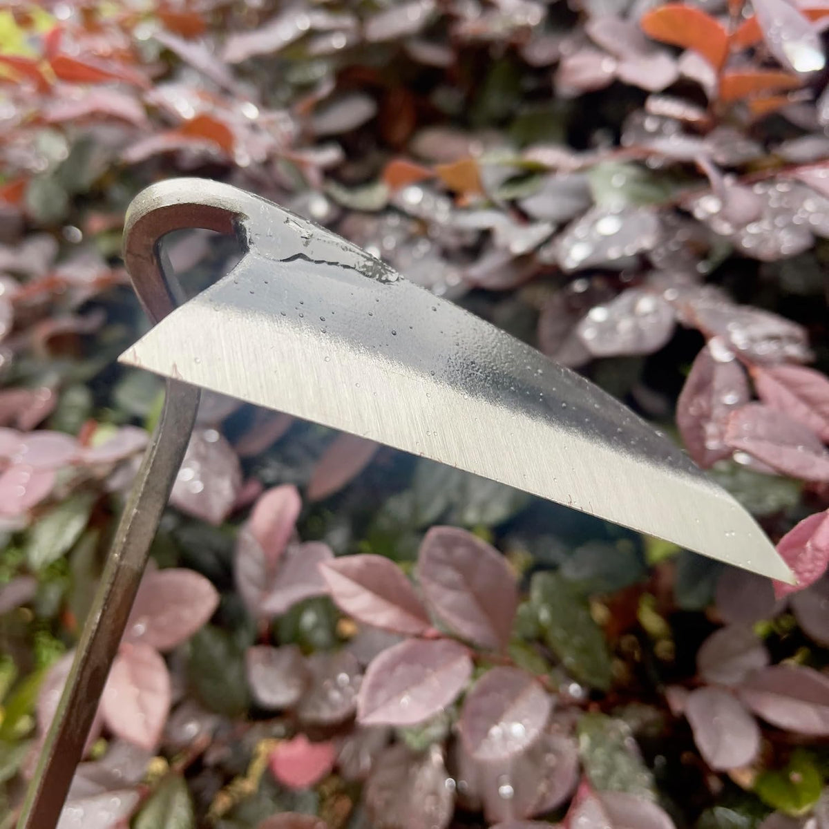 14 Inch Heavy Duty Wide Hoe, Japanese Carbon Steel with Oak Wooden Handle, Without Welding, Garden Tool for Digging, Weeding, and Planting