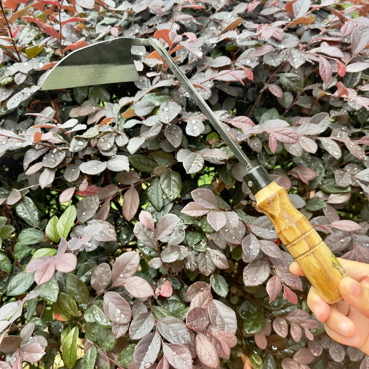 14 Inch Heavy Duty Wide Hoe, Japanese Carbon Steel with Oak Wooden Handle, Without Welding, Garden Tool for Digging, Weeding, and Planting