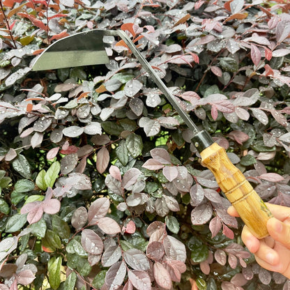 14 Inch Heavy Duty Wide Hoe, Japanese Carbon Steel with Oak Wooden Handle, Without Welding, Garden Tool for Digging, Weeding, and Planting