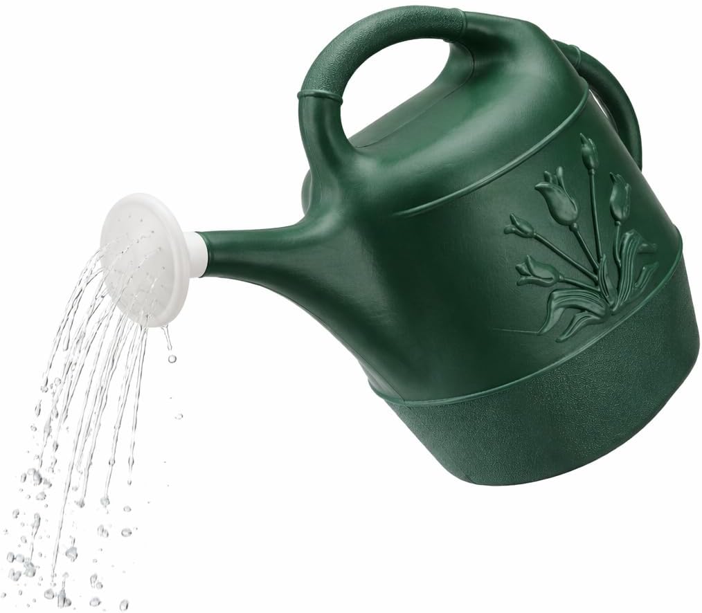 2 Gallon Watering Can - Garden Watering Can for Indoor & Outdoor Plants - Plastic Water Can with Detachable Sprinkler Head - Large Water Pot, Made in USA - Sage Green Pkg/1